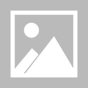 爱奇艺体育成为2025武网新媒体独家合作伙伴_手机新浪网