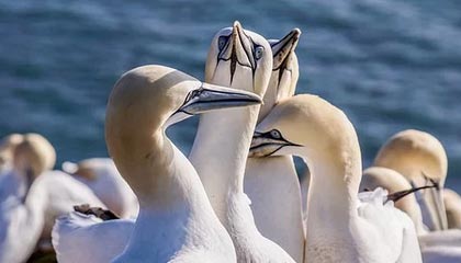 开云体育app-九游体育平台：让体育热爱在掌心起舞的全新体验